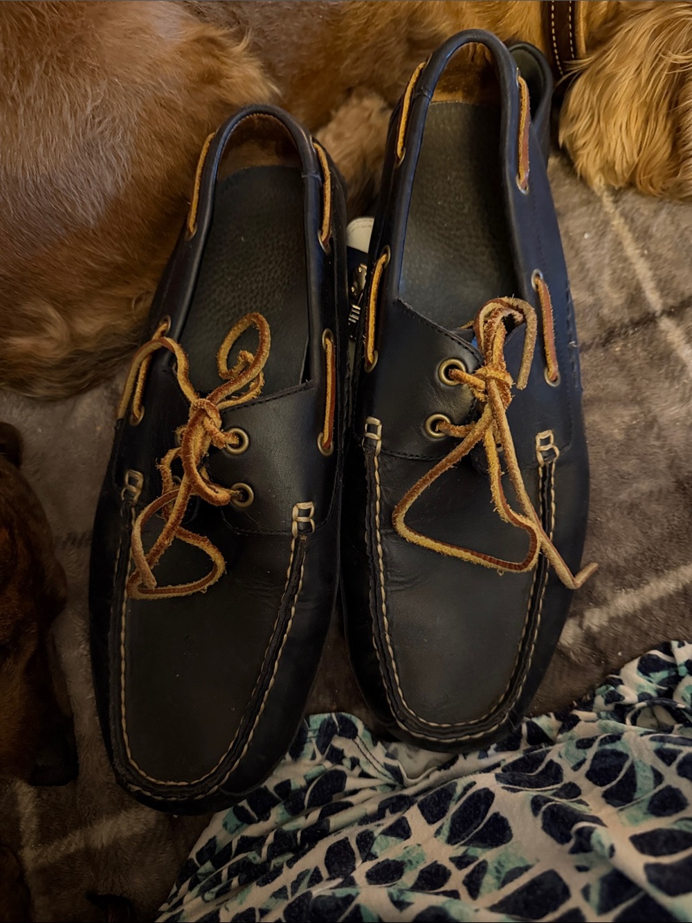 Polo by Ralph Lauren Black Leather Boat Shoes with Brown Laces